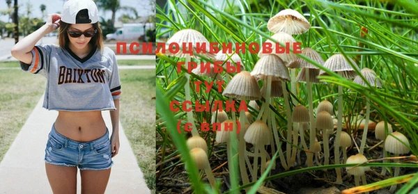 таблы Белокуриха